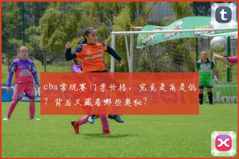 cba常规赛门票价格，究竟是高是低？背后又藏着哪些奥秘？