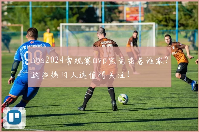 nba2024常规赛mvp究竟花落谁家?这些热门人选值得关注!