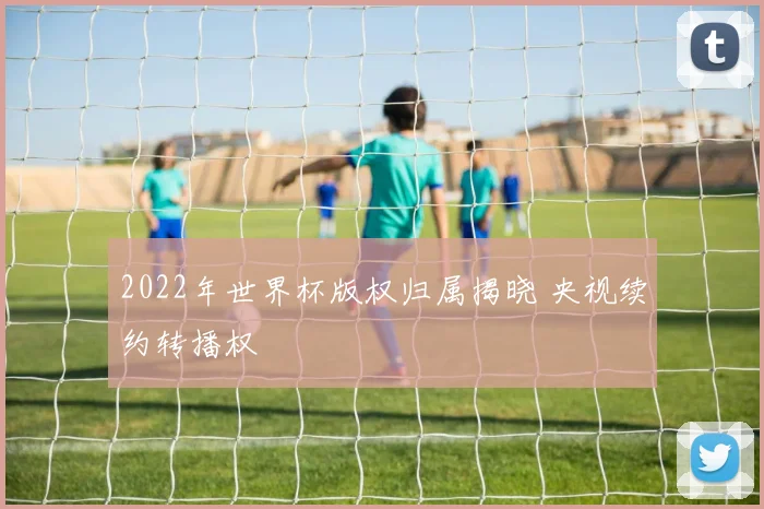 2022年世界杯版权归属揭晓 央视续约转播权