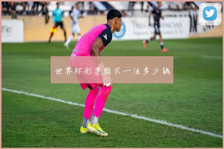 世界杯彩票购买一注多少钱