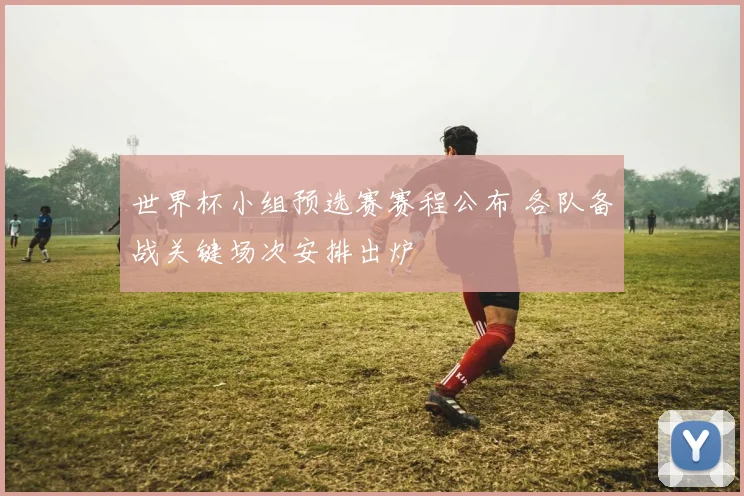 世界杯小组预选赛赛程公布 各队备战关键场次安排出炉