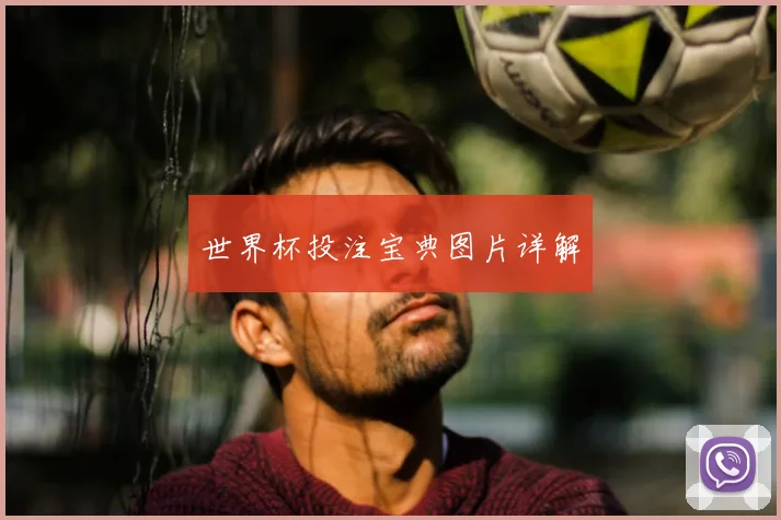 世界杯投注宝典图片详解